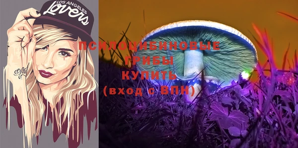 mdma Вяземский