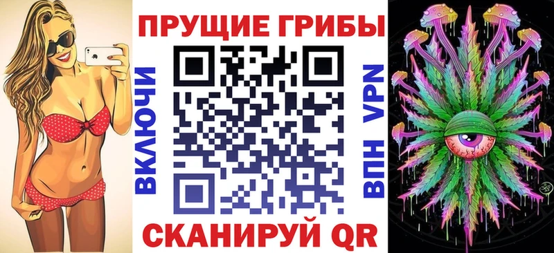 наркошоп  Долинск  Галлюциногенные грибы Psilocybe 